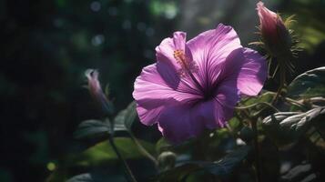 de kalmte van bloeiend bloemen generatief ai foto