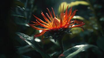 de schoonheid van wild bloemen in natuur generatief ai foto