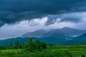 mooi ochtend- visie Indonesië panorama landschap rijstveld velden met schoonheid kleur en lucht natuurlijk licht foto