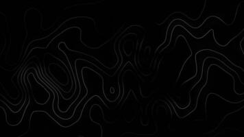 abstract hout graan lijnen beroerte Golf patroon zwart en wit kaart achtergrond foto