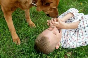 vrolijk jongen leugens Aan de gras en Toneelstukken met de hond foto