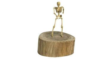 skeletten staan Aan hout. knipsel pad foto