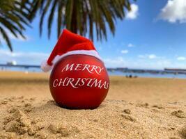 Kerstmis bom in santa's hoed Aan de strand aan het liegen Aan de zand met palm bomen en blauw lucht Aan de achtergrond. vrolijk Kerstmis van paradijs, exotisch eiland. Hawaii, kanarie eilanden, Bali. foto