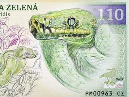 groen Python een portret van geld foto