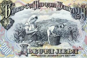 boeren oogsten tabak van oud Bulgaars geld foto