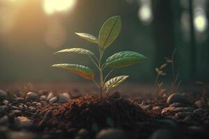 fabriek groeit in boerderij grond of Woud met zonlicht Bij dag. jong fabriek is groeien. wereld aarde dag. wereld milieu dag. aarde behoud, ecologie of globaal opwarming door ai gegenereerd foto