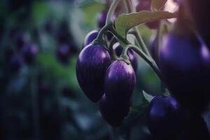 kunstmatig uv licht teelt van een aubergine ai gegenereerd foto