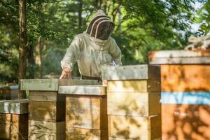 portret van imker met zijn bijenkorven in Woud. bijenteelt professioneel bezigheid. foto