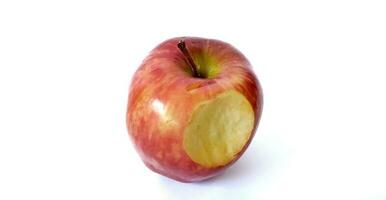 beet rood appel geïsoleerd Aan wit achtergrond, knipsel pad. foto