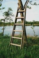 houten ladder Bij de meer foto