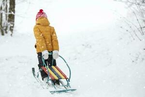 een kind trekt een metaal slee bergop in winter. foto