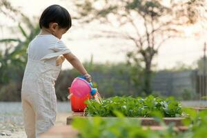 biologisch landbouw Bij huis, biologisch groente boerderij. kinderen gieter biologisch groenten . niet giftig groente toenemen van nature. kas tuin, ecologisch biologisch, gezond, vegetarisch, ecologie foto