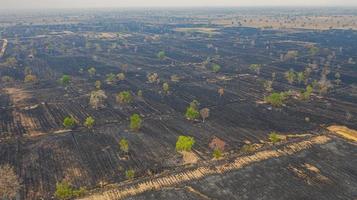 luchtfoto over het verbranden van rijstveld na het oogsten foto
