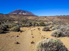 uitzicht op de berg teide in het teide nationaal park tenerife foto