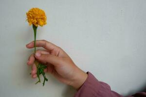 hand en bloem foto