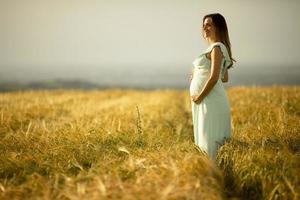 zwangere vrouw in veld op gouden uur foto