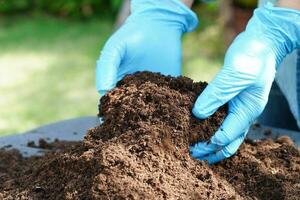 boom groeit met hand, eco aarde dag, opslaan wereld, opslaan aarde, Gaan groen foto