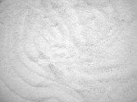 witte schone wol textuur achtergrond. lichte natuurlijke schapenwol. witte naadloze katoen. textuur van pluizige vacht voor ontwerpers. close-up fragment wit wollen tapijt.. foto