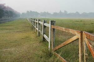 paard boerderij met oud houten hek Aan droog weiland van natuurlijk landschap foto