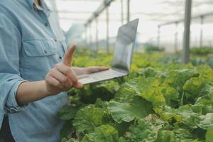 Aziatisch vrouw boer gebruik makend van digitaal tablet in groente tuin Bij serre, bedrijf landbouw technologie concept, kwaliteit slim boer. foto