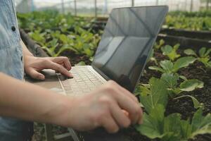 Aziatisch vrouw boer gebruik makend van digitaal tablet in groente tuin Bij serre, bedrijf landbouw technologie concept, kwaliteit slim boer. foto