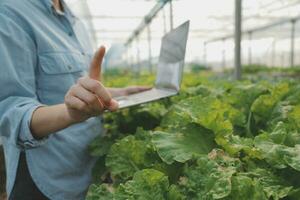 Aziatisch vrouw boer gebruik makend van digitaal tablet in groente tuin Bij serre, bedrijf landbouw technologie concept, kwaliteit slim boer. foto