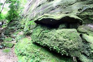 pha luang waterval bospark, amphoe si mueang mai, ubon ratchathani, thailand foto