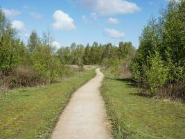 pad door een natuur reserveren foto