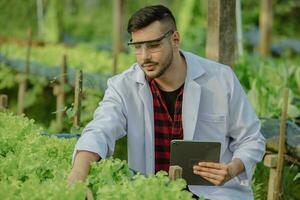 naar beoordelen de rendement van modern kas landbouw beheer, agrarisch Onderzoek deskundige inspecteren en verzamelen gegevens Aan gewassen, water, lucht, en insecten. het uitvoeren van regelmatig laboratorium procedures. foto