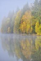 herfst landschap in de bergen met bomen weerspiegelen in het water bij st ana lake roemenië
