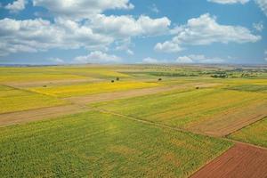 luchtfoto bovenaanzicht van vliegende drone van een land met ingezaaide groene velden op het platteland foto