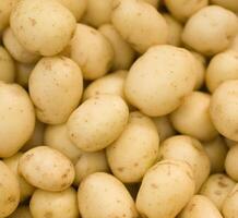 rauwe aardappelen achtergrond foto