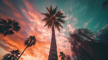 majestueus palm boom met haar weelderig groen bladeren voorzichtig zwaaiend in de wind. ai generatief foto