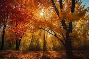 herfst bloemen panoramisch achtergrond. kleurrijk geel en rood esdoorn- gebladerte Aan een zonnig dag heilig licht. herfst- park. ai generatief foto