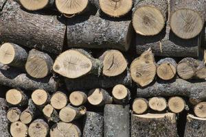 stapels brandhout muur brandhout achtergrond van droog gehakt brandhout in een stapel foto