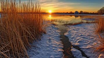 zonsondergang bovenstaand de riet Bij de rand van de meer. ai generatief foto