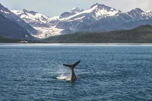 babybultrug en het landschap van Alaska met gletsjer foto