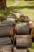 stapel houtblokken klaar voor de winter foto