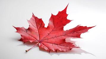 Canada onafhankelijkheid dag. rood esdoorn- blad Aan een wit achtergrond, detailopname. ai gegenereerd. foto