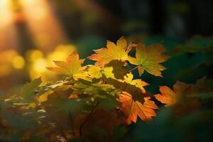 natuurlijk herfst achtergrond met gouden geel en oranje esdoorn- bladeren gloeiend in de zon Aan een teder wazig licht groen achtergrond. ai generatief foto