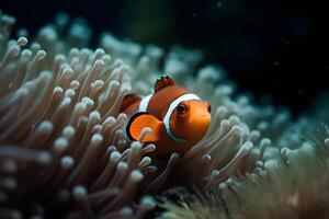 clown vis marinier leven anemoon rif. neurale netwerk ai gegenereerd foto