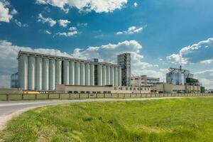 agro silo's graanschuur lift met zaden schoonmaak lijn Aan agro-verwerking fabricage fabriek voor verwerken drogen schoonmaak en opslagruimte van agrarisch producten foto