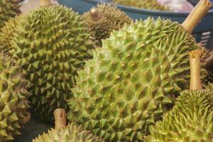 durian is verkocht in een markt. foto