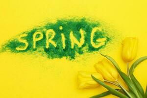 de opschrift voorjaar van decoratief groen gras Aan een geel achtergrond met een gieter kan en bloemen tulpen foto