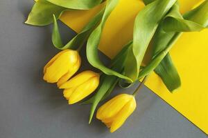 geel tulpen Aan geel en grijs achtergrond. visie van bovenstaande. foto