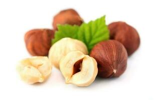hazelnoot noten met blad . foto