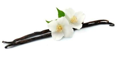 vanille met wit bloemen. foto
