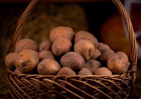 aardappel in een rieten houten mand op hooi