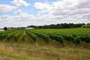 toneel- landelijk landschap foto