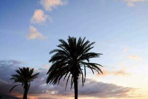 toneel- strand visie foto